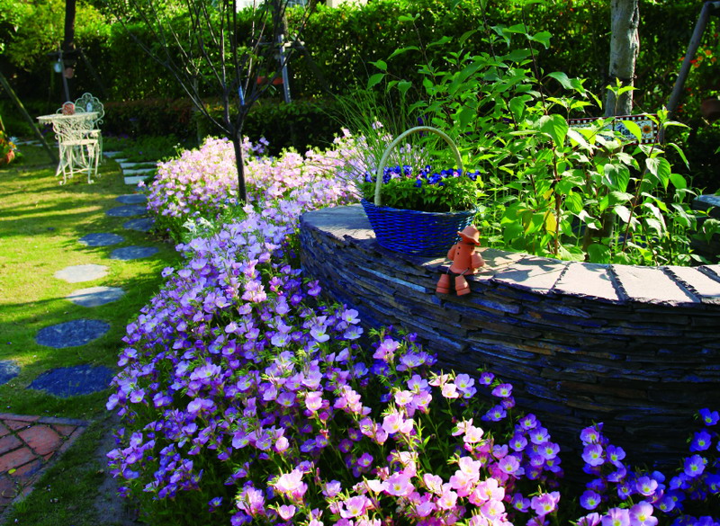 新宝GG—创立事业平台